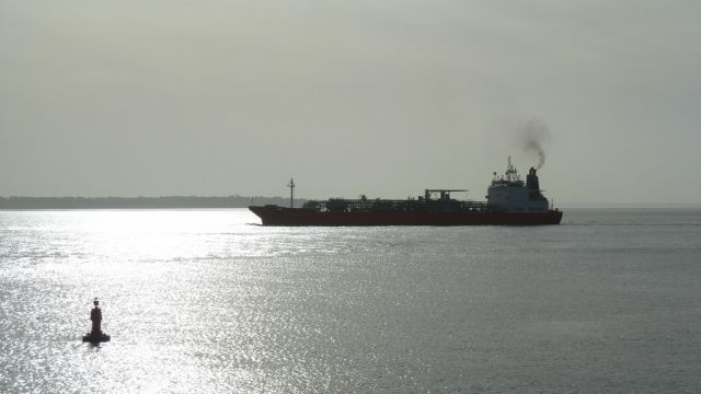 Pertusola - estuaire - 26 janvier 2013 (05).JPG